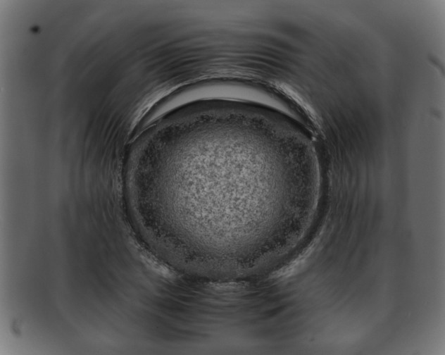 X0000091981025200709131408