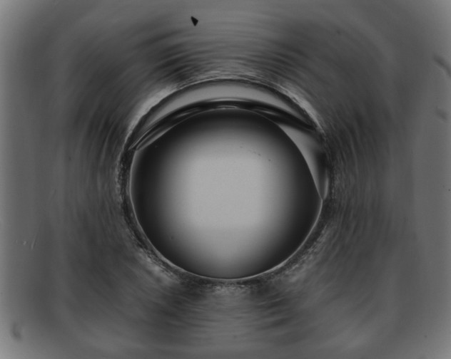 X0000091981026200709131408