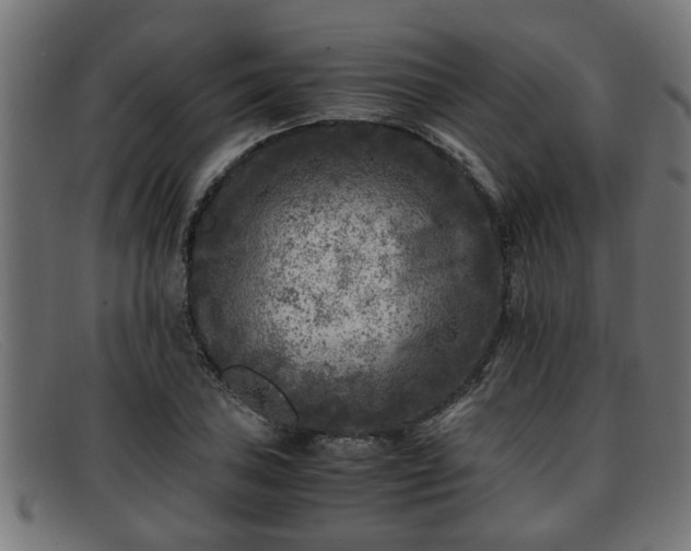 X0000091981027200709131408