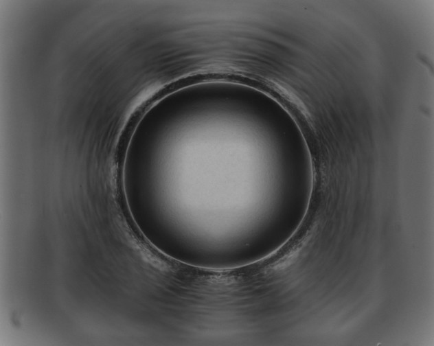 X0000091981029200709131408