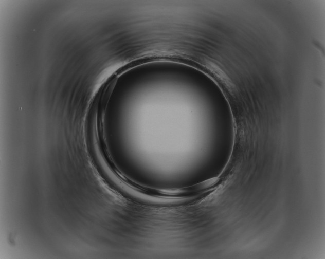 X0000091981030200709131408