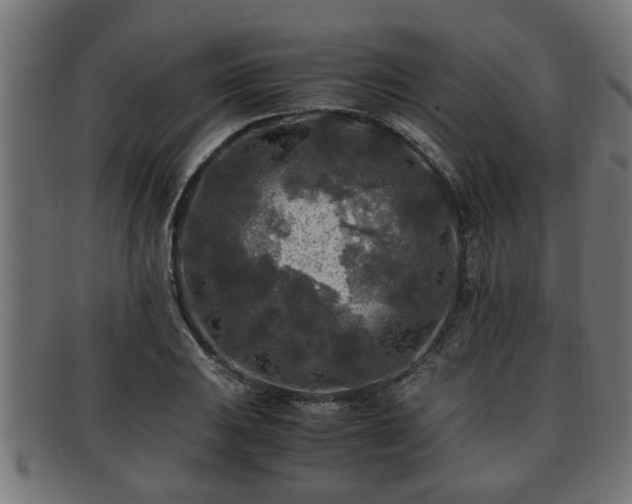 X0000091981031200709131408