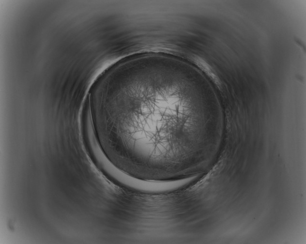 X0000091981032200709131408