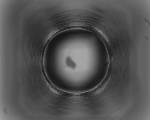 X0000091981033200709131408