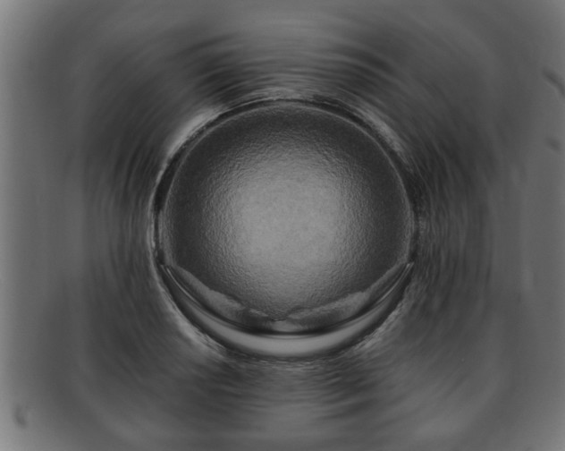 X0000091981034200709131408