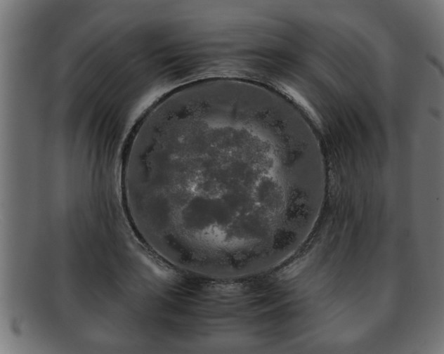 X0000091981035200709131408