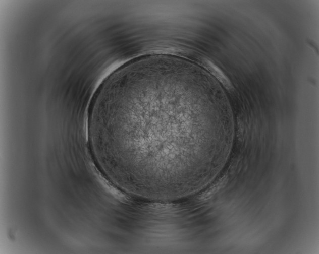 X0000091981036200709131408