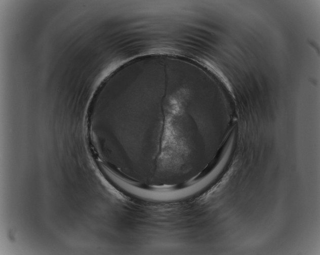 X0000091981037200709131408