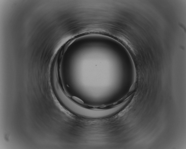 X0000091981038200709131408