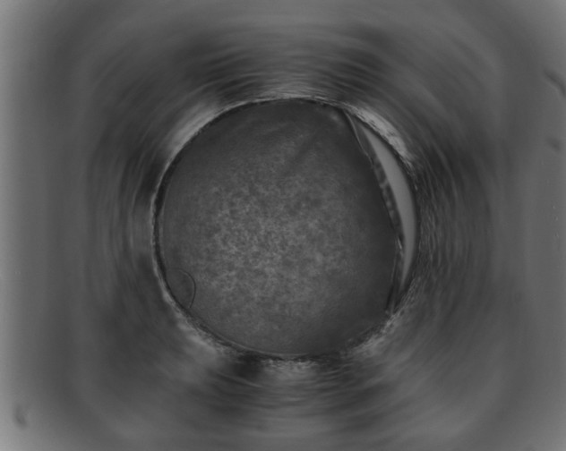 X0000091981039200709131408