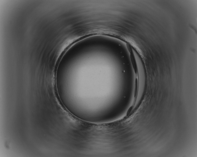 X0000091981040200709131408