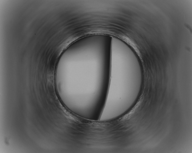 X0000091981041200709131408