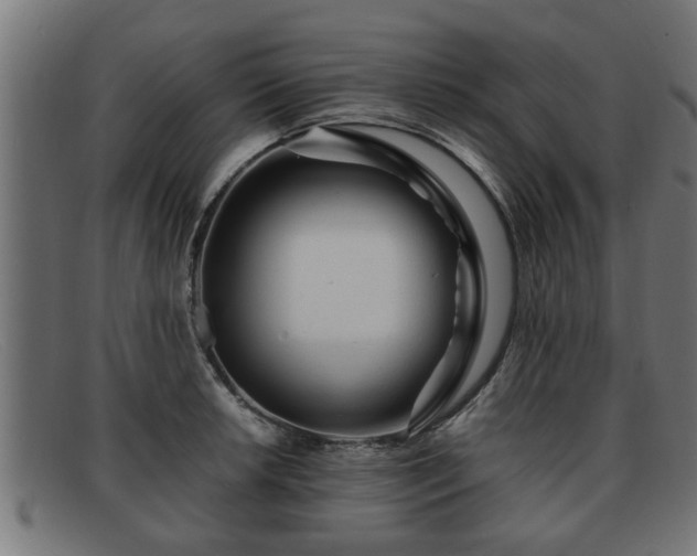 X0000091981042200709131408