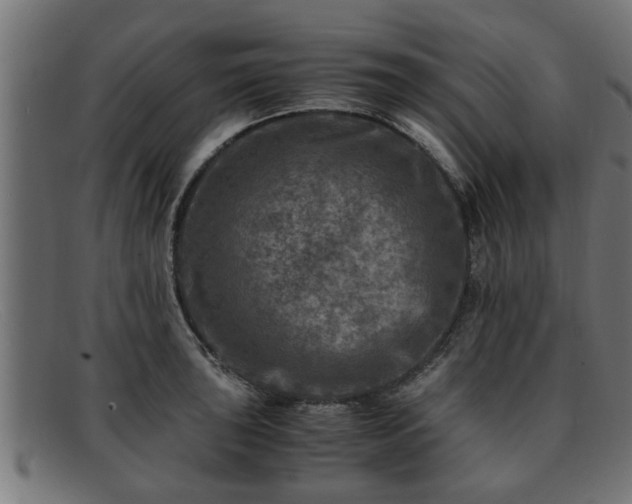 X0000091981043200709131408