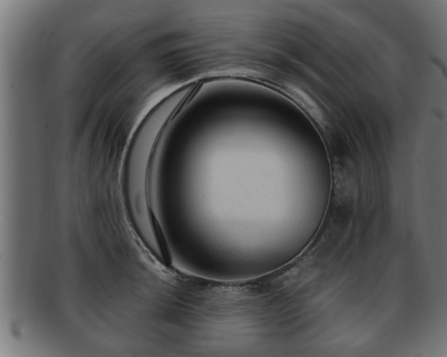 X0000091981044200709131408