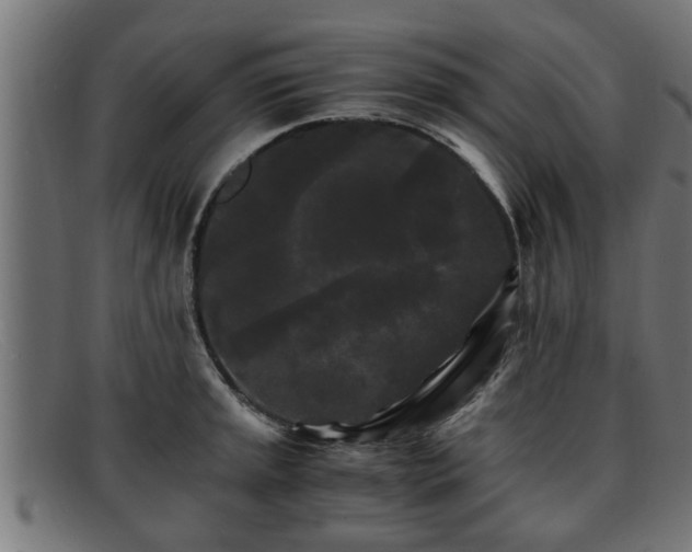 X0000091981045200709131408