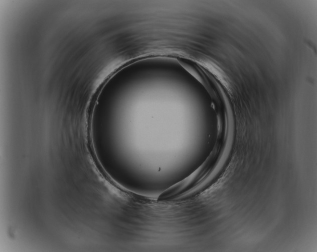 X0000091981046200709131408