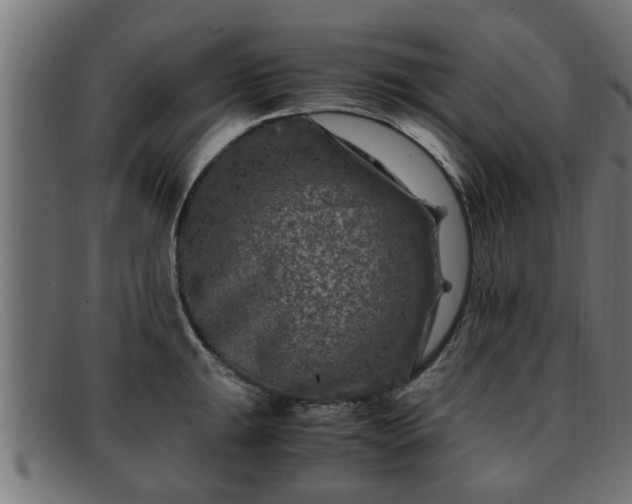 X0000091981047200709131408