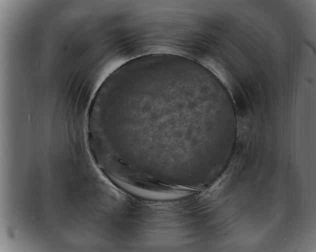 X0000091981048200709131408