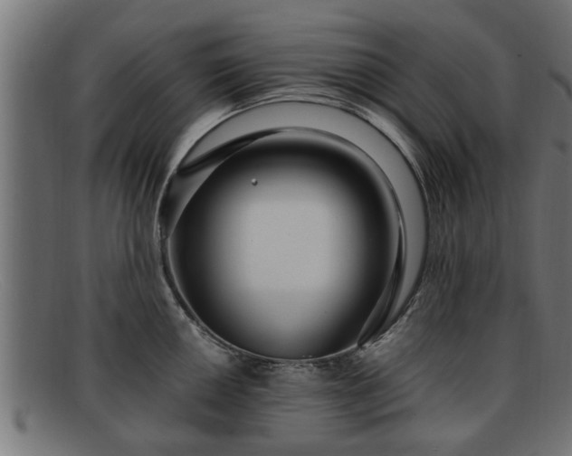 X0000091981050200709131408