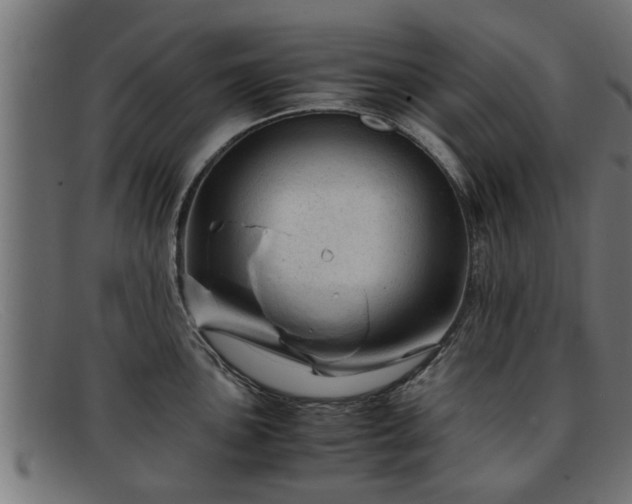 X0000091981051200709131408