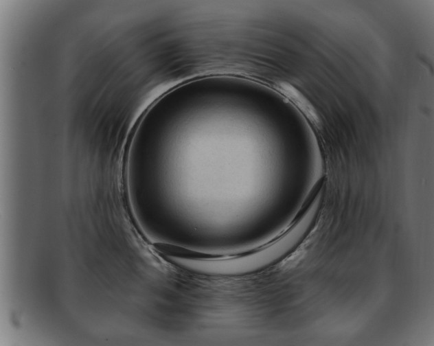 X0000091981052200709131408