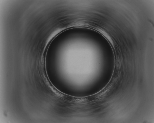 X0000091981053200709131408