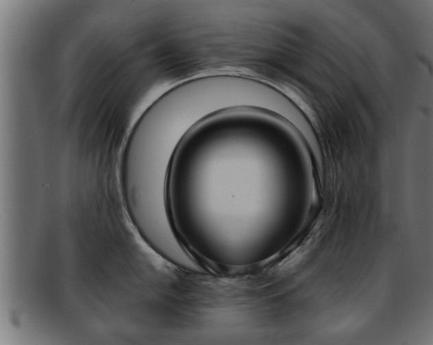 X0000091981054200709131408