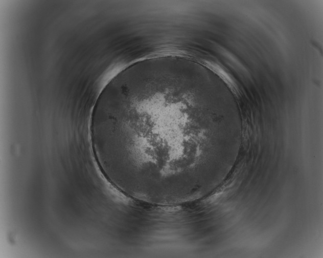 X0000091981055200709131408