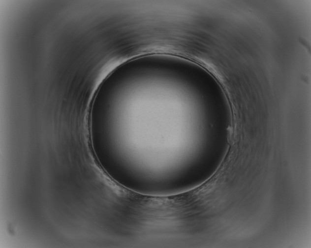 X0000091981056200709131408