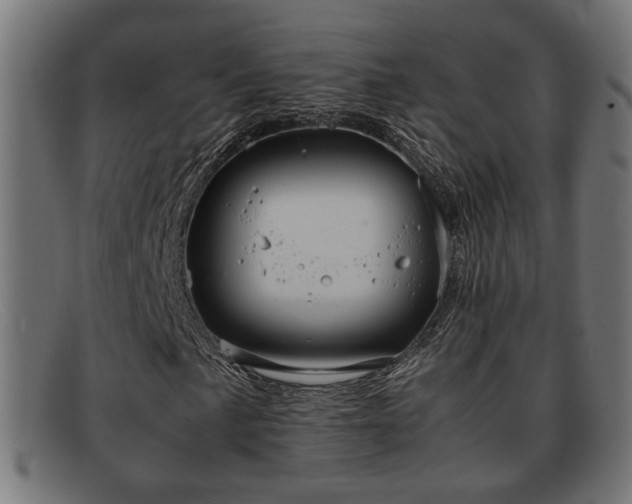 X0000091981057200709131408