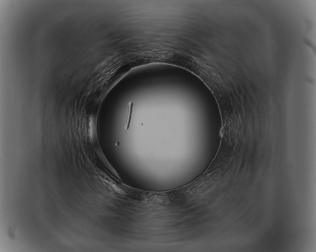 X0000091981058200709131408