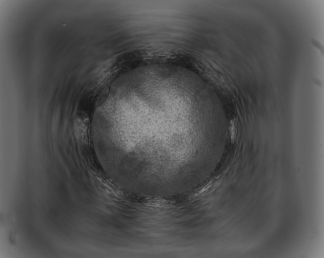 X0000091981059200709131408