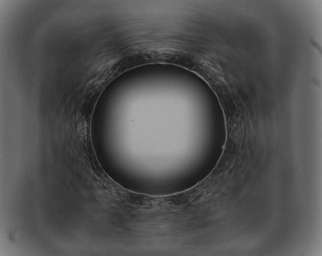 X0000091981061200709131408