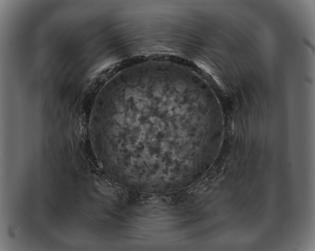 X0000091981063200709131408