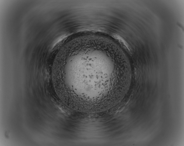 X0000091981064200709131408