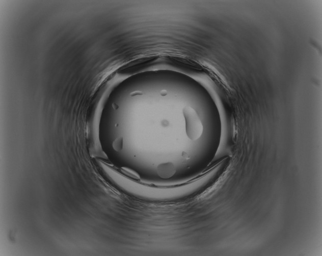 X0000091981065200709131408