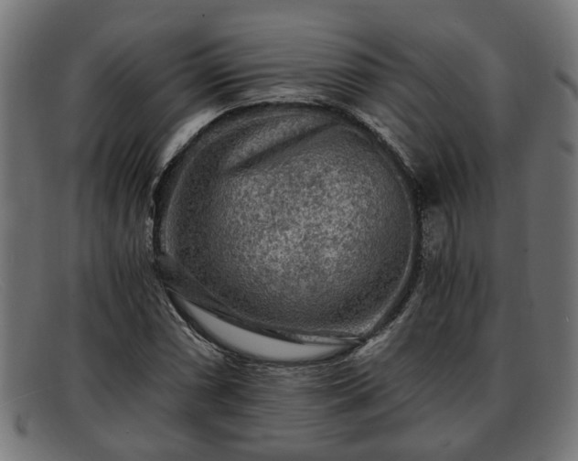 X0000091981066200709131408