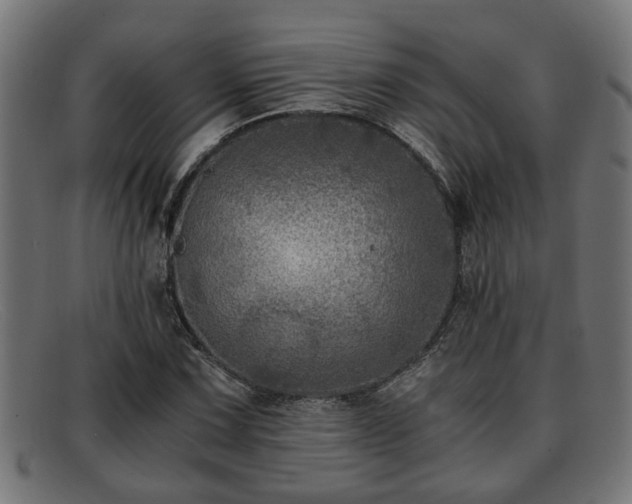 X0000091981067200709131408