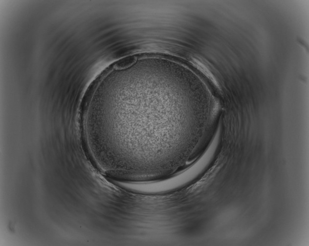 X0000091981068200709131408