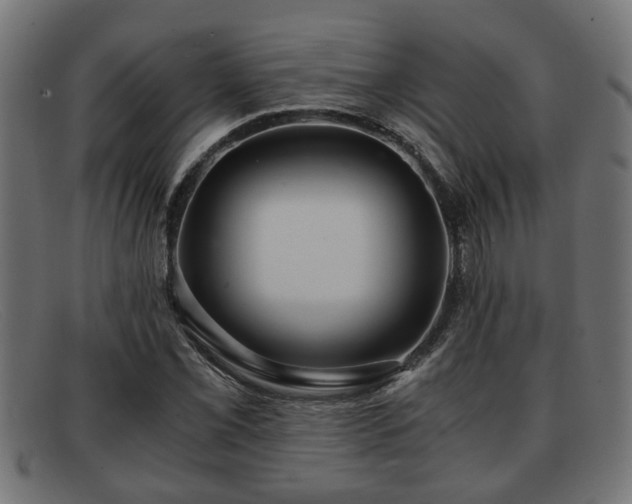 X0000091981069200709131408