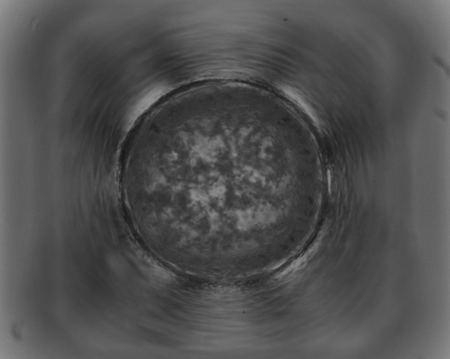 X0000091981071200709131408