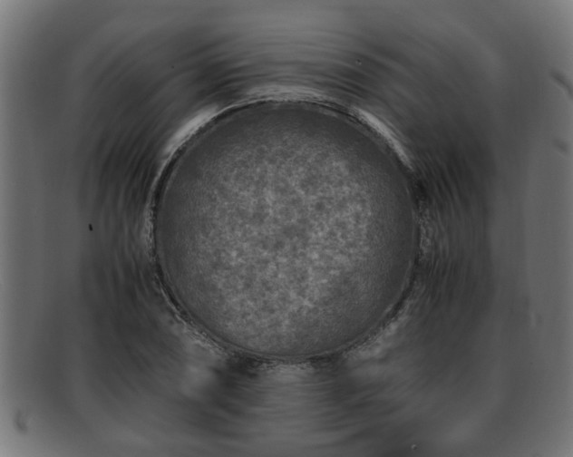 X0000091981074200709131407