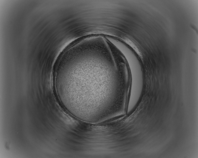 X0000091981076200709131407