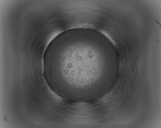 X0000091981079200709131407