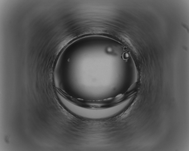 X0000091981081200709131407