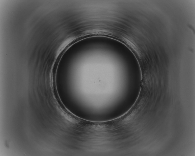 X0000091981082200709131407