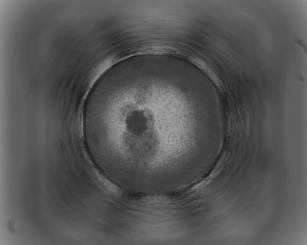 X0000091981083200709131407