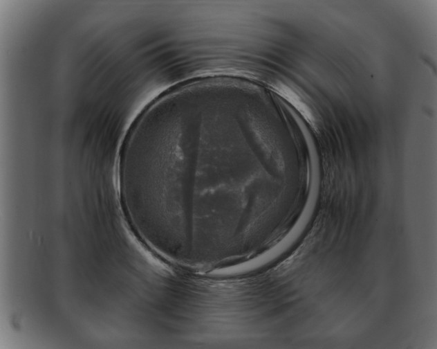 X0000091981084200709131407