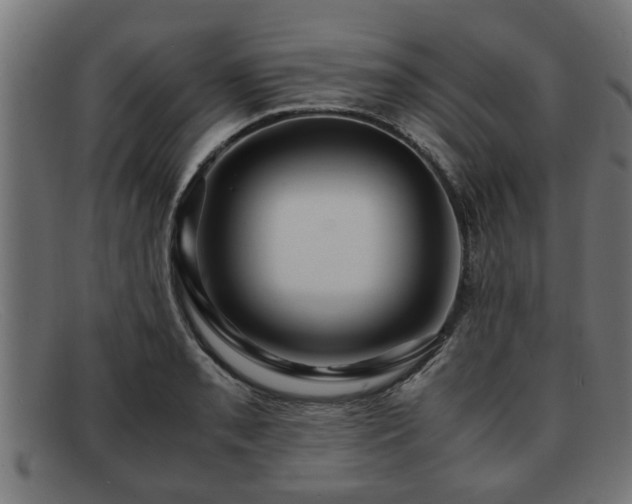 X0000091981085200709131407